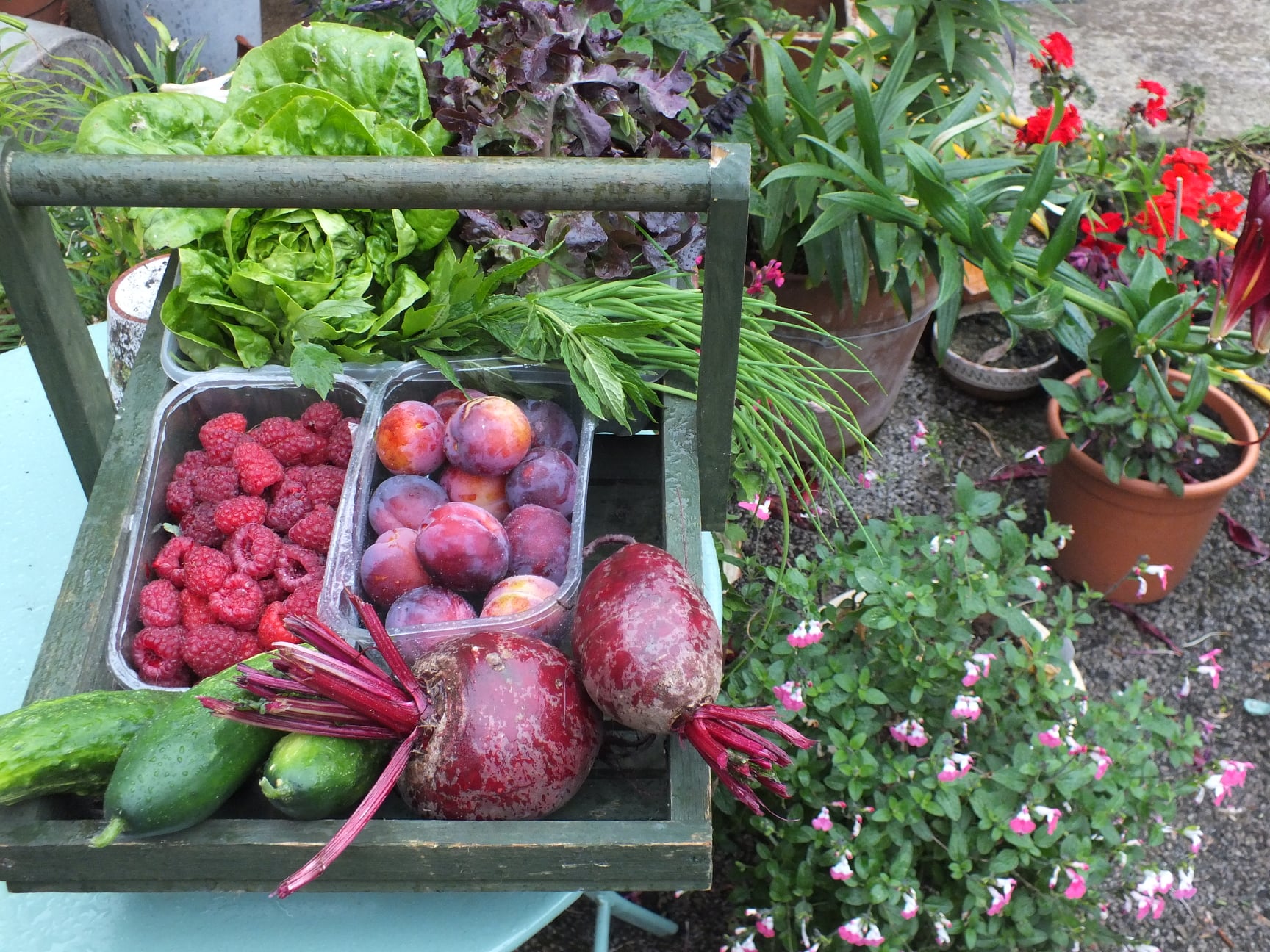 Gardening Group